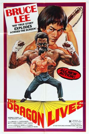 Bruce Lee - Gigant des Kung Fu poster