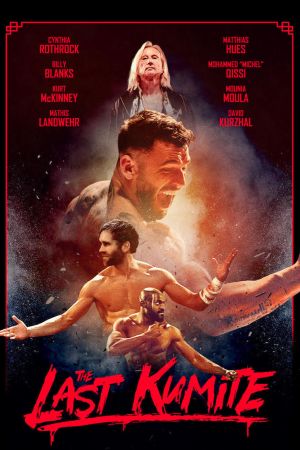 The Last Kumite poster
