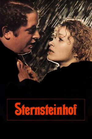 Der Sternsteinhof poster