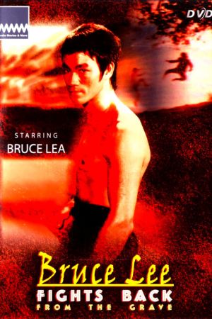 Bruce Lee - Noch aus dem Grab schlage ich zurück hdfilme stream online