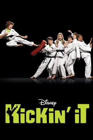 Karate-Chaoten poster