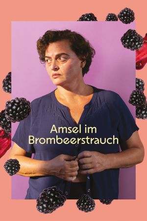 Amsel im Brombeerstrauch poster