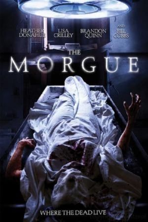 Morgue - Der Tod schläft nicht poster