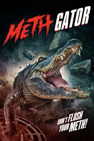Methgator poster