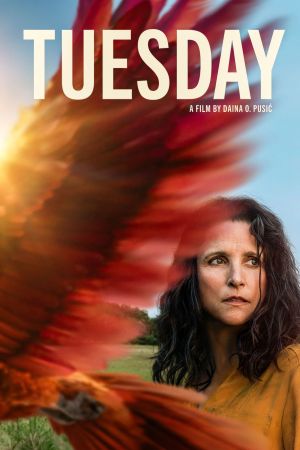 Tuesday poster