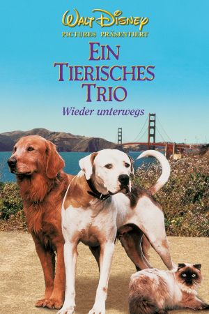 Ein tierisches Trio - Wieder unterwegs poster