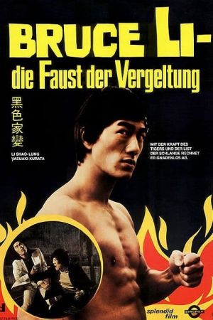 Bruce Li - Die Faust der Vergeltung poster