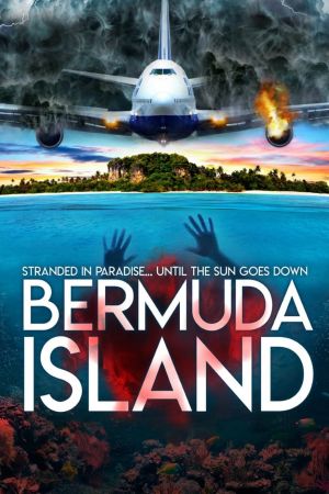 Bermuda Island poster