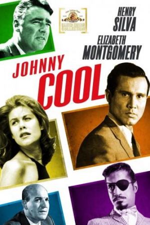 Die Rache des Johnny Cool poster