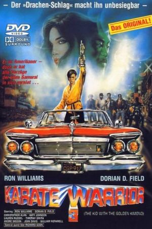 Karate Warrior 3 poster