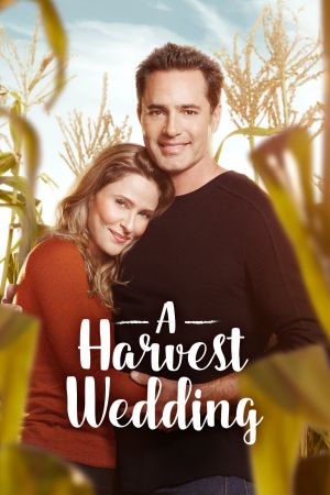 Die Hochzeit des Jahres poster