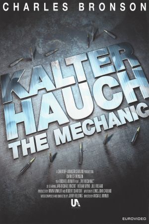 Kalter Hauch poster