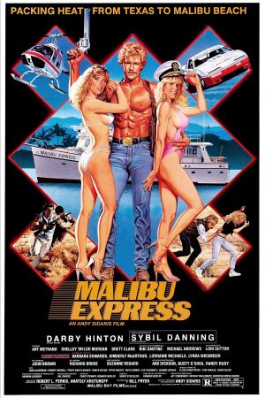 Malibu Express hdfilme stream online
