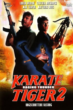 Karate Tiger 2 hdfilme stream online