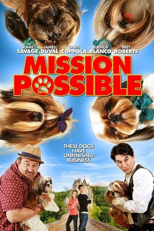 Mission Possible hdfilme stream online