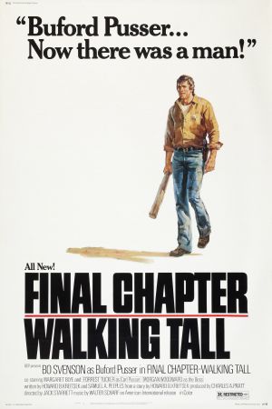 Final Chapter: Walking Tall poster