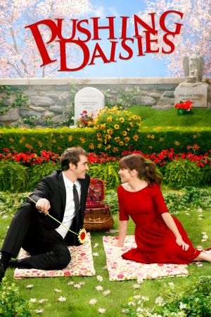 Pushing Daisies poster
