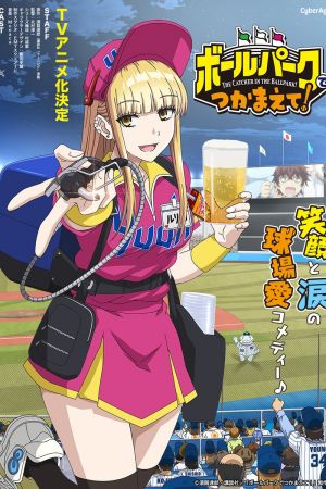Catch Me at the Ballpark! poster
