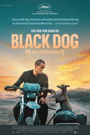 Black Dog - Weggefährten poster