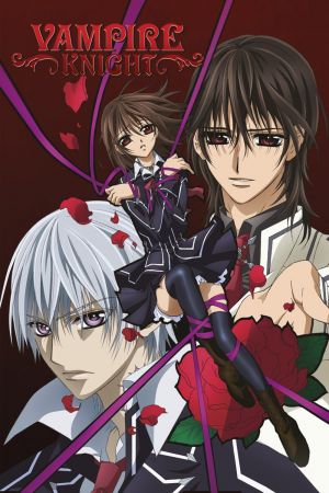 Vampire Knight poster