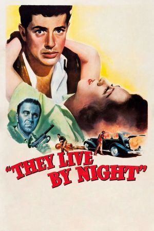 Sie leben bei Nacht poster