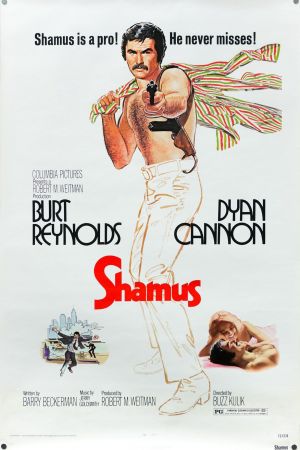 Der Spürhund poster