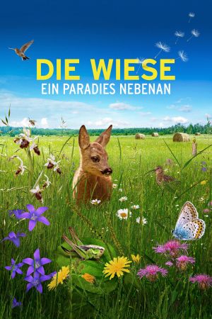 Die Wiese: Ein Paradies nebenan poster