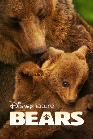 Bären poster