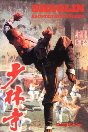 Meister der Shaolin poster