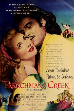 Der Pirat und die Dame poster