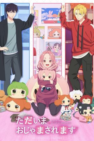 Pardon the Intrusion, I'm Home! poster