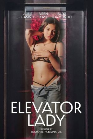 Elevator Lady poster