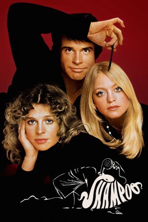 Shampoo poster